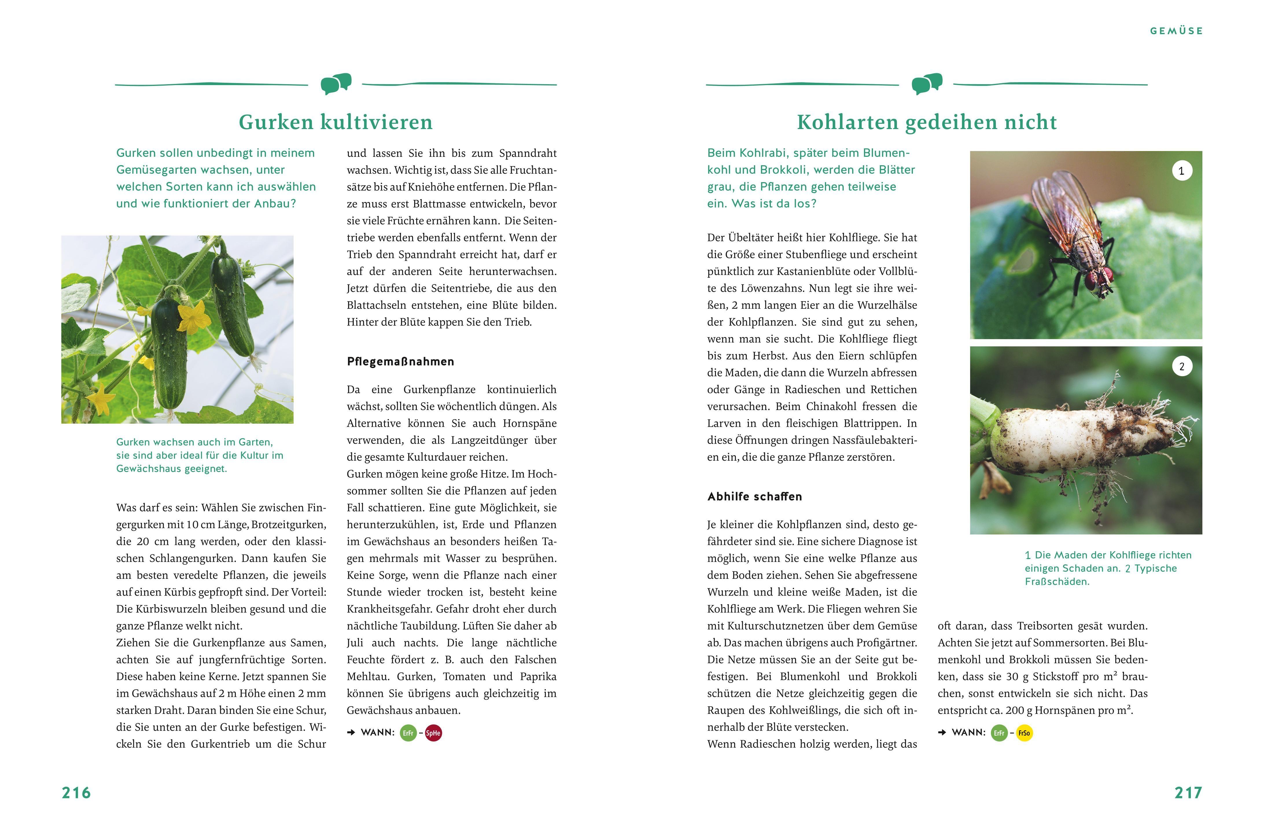 Beispielinhalt (Bild) Gärtnern für Gartenneulinge