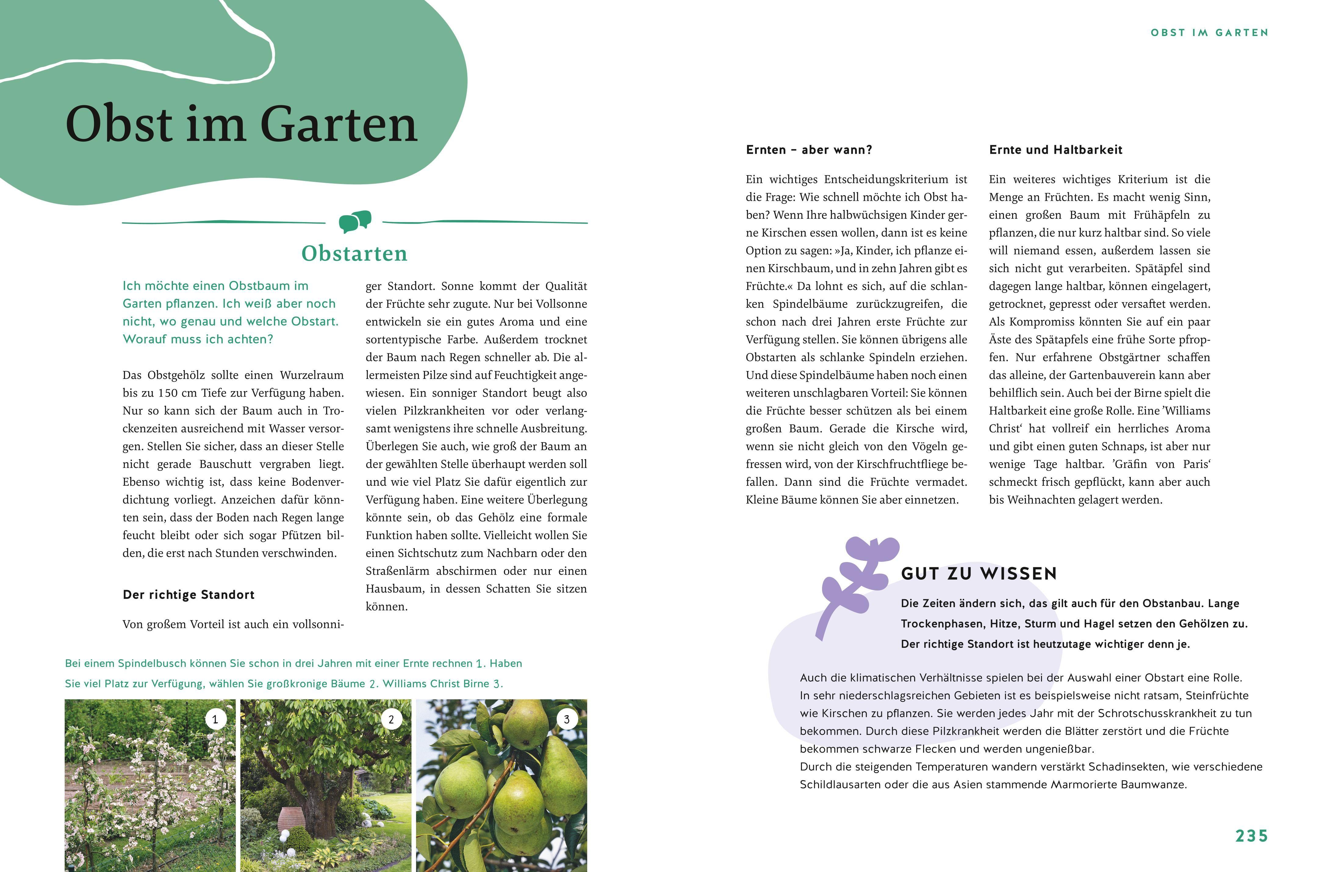 Beispielinhalt (Bild) Gärtnern für Gartenneulinge