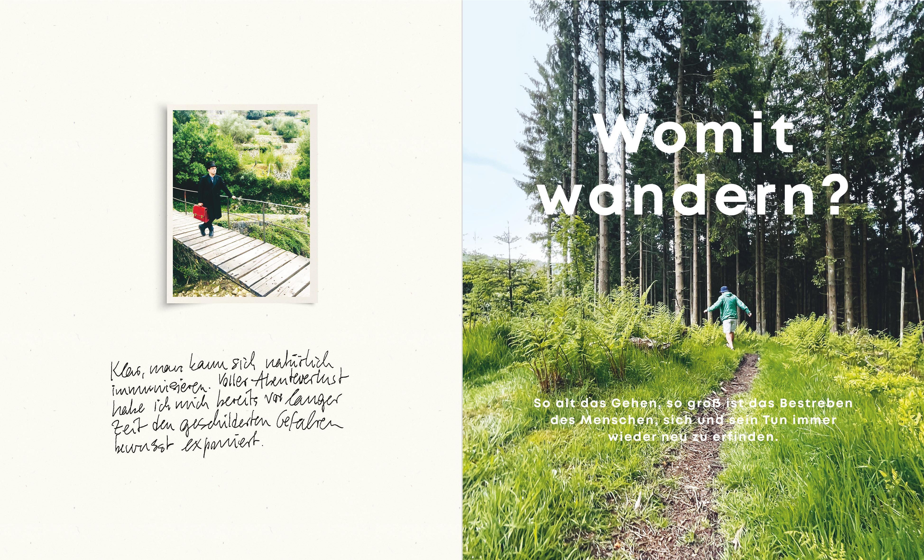 Beispielinhalt (Bild) Der Fußgänger