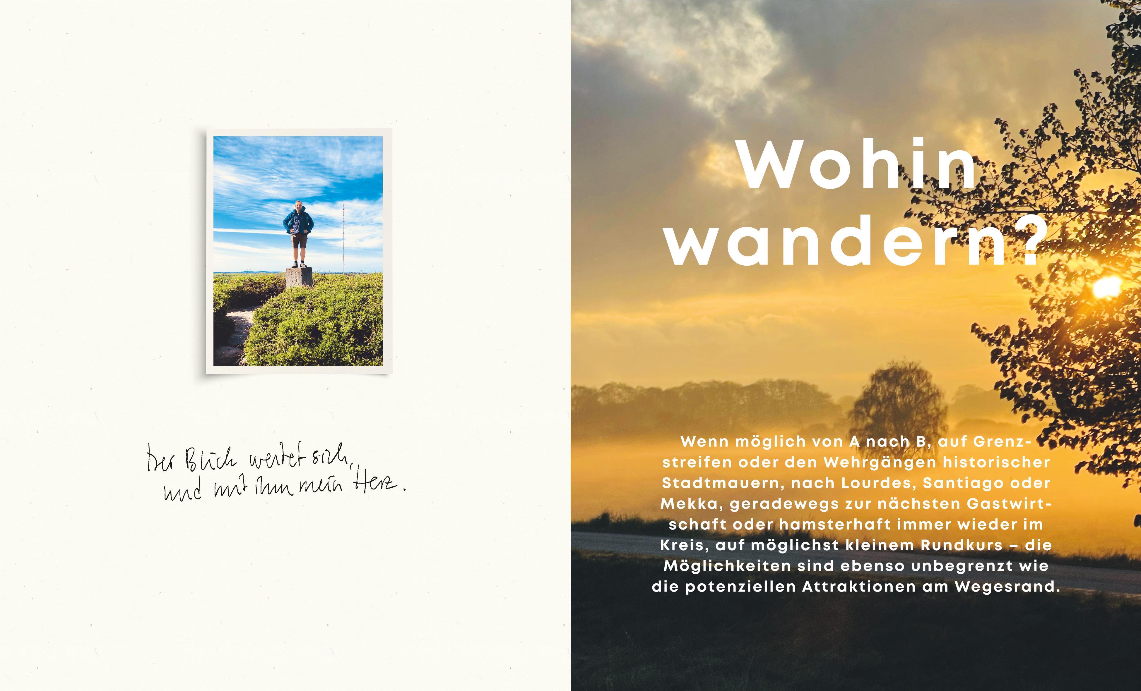 Beispielinhalt (Bild) Der Fußgänger