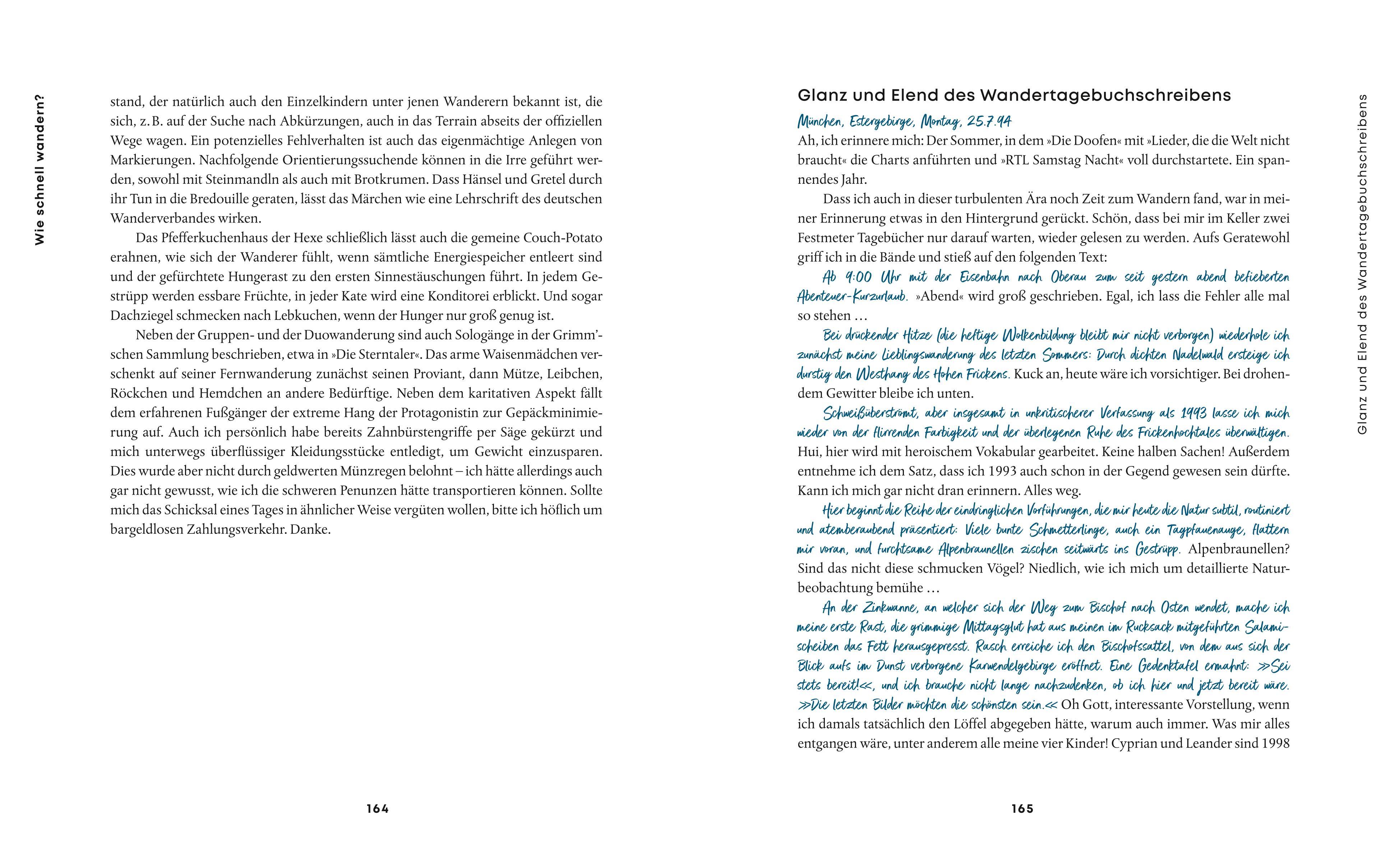 Beispielinhalt (Bild) Der Fußgänger