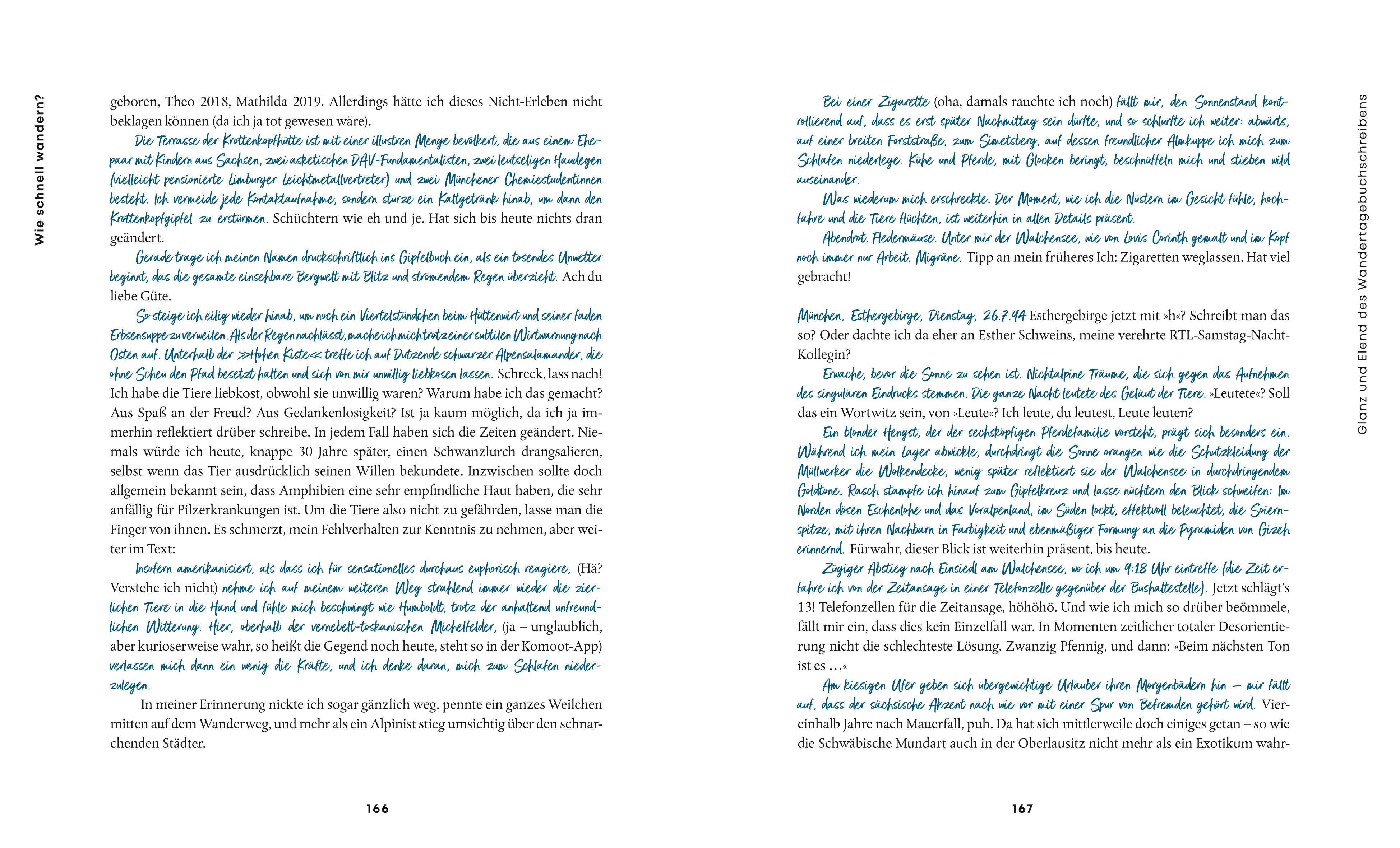 Beispielinhalt (Bild) Der Fußgänger