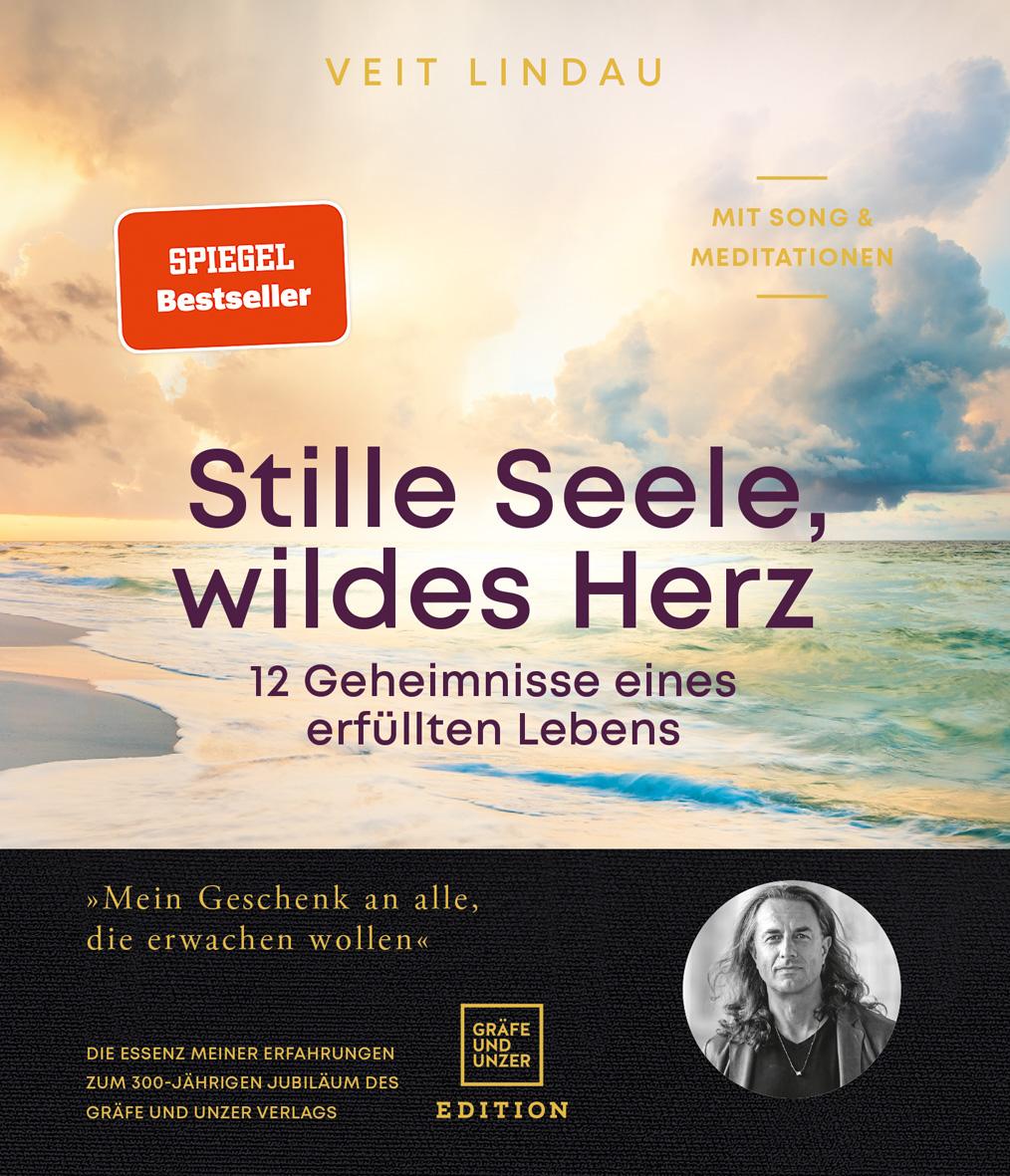 Vorderes Coverbild Stille Seele, wildes Herz