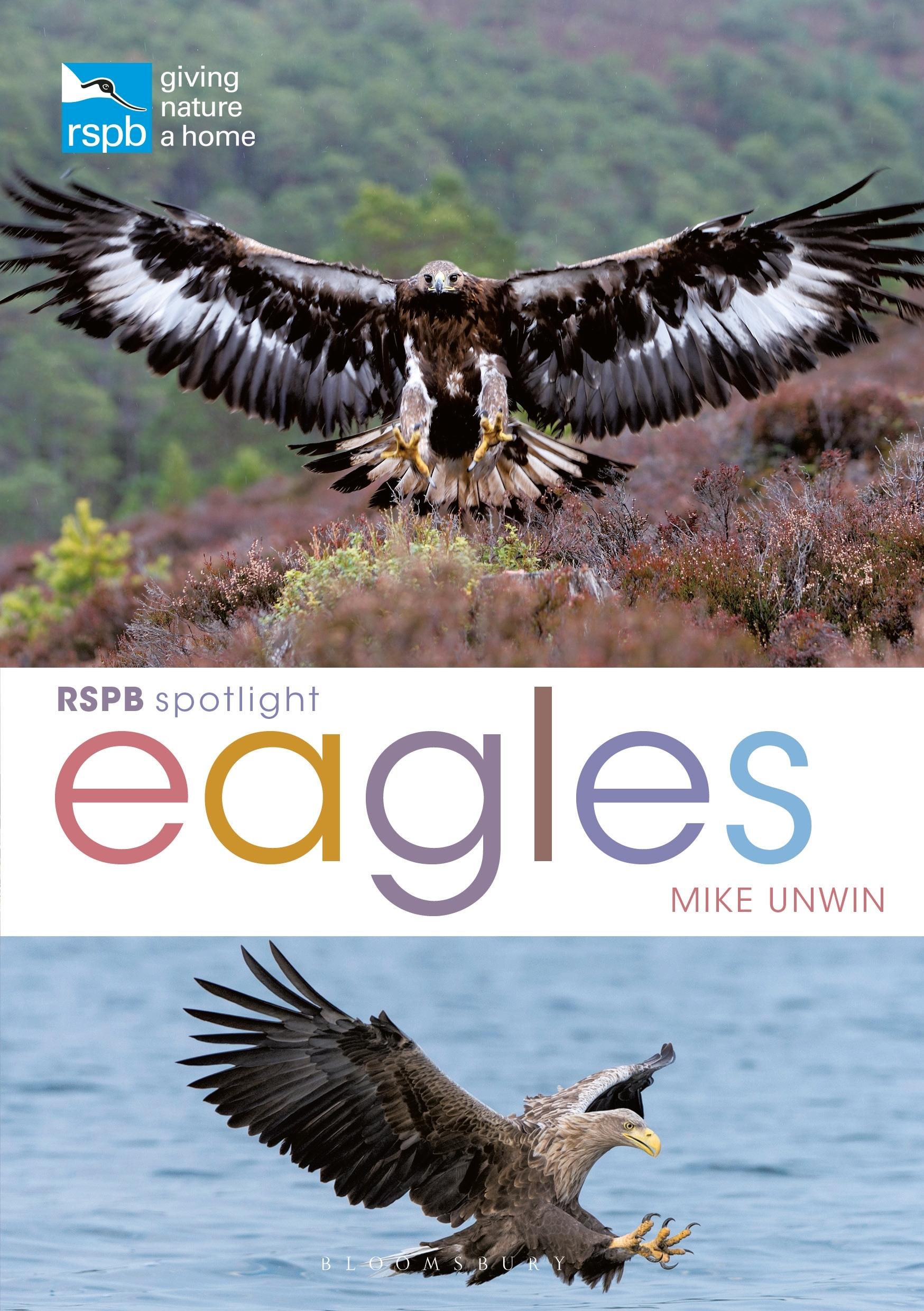 Vorderes Coverbild RSPB Spotlight: Eagles