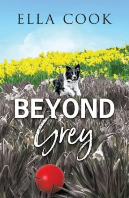 Vorderes Coverbild Beyond Grey