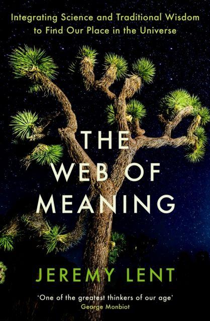 Vorderes Coverbild The Web of Meaning
