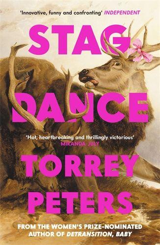 Vorderes Coverbild Stag Dance
