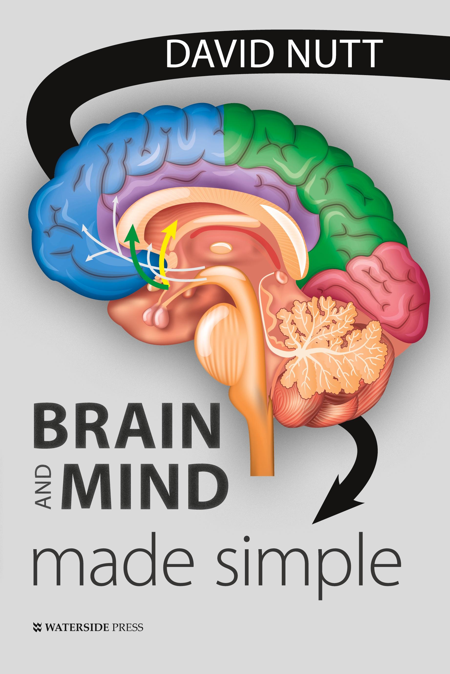 Vorderes Coverbild Brain and Mind Made Simple