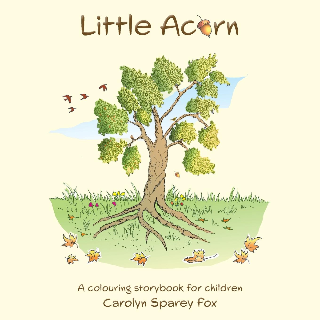 Vorderes Coverbild Little Acorn