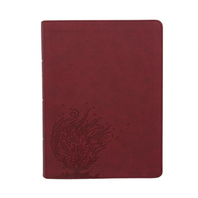 Vorderes Coverbild CSB Experiencing God Bible, Burgundy Leathertouch