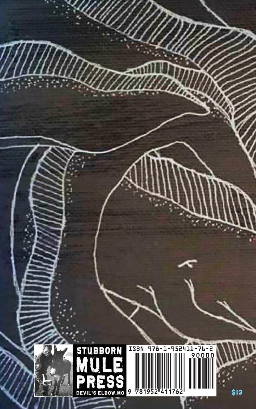 Rückseitencover Lost Eel Questions