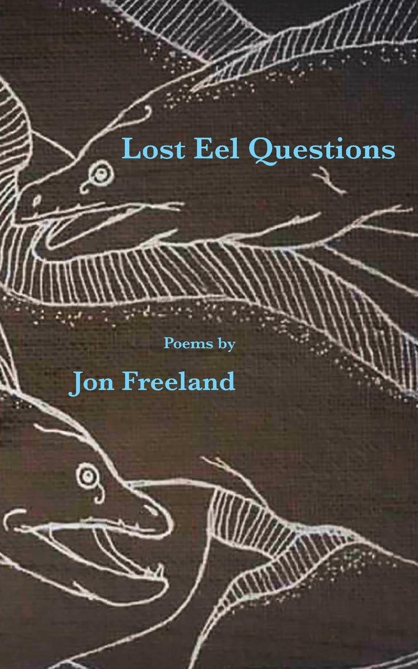 Vorderes Coverbild Lost Eel Questions