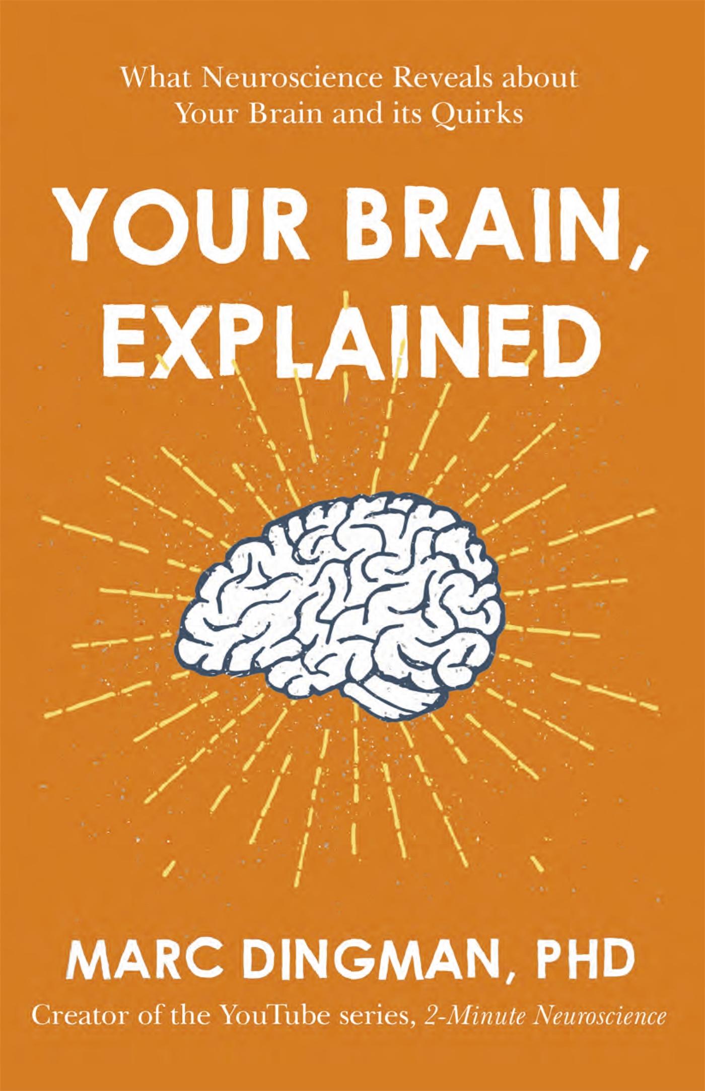 Vorderes Coverbild Your Brain, Explained