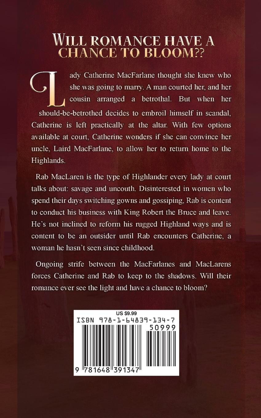 Rückseitencover An Outsider at the Highland Court