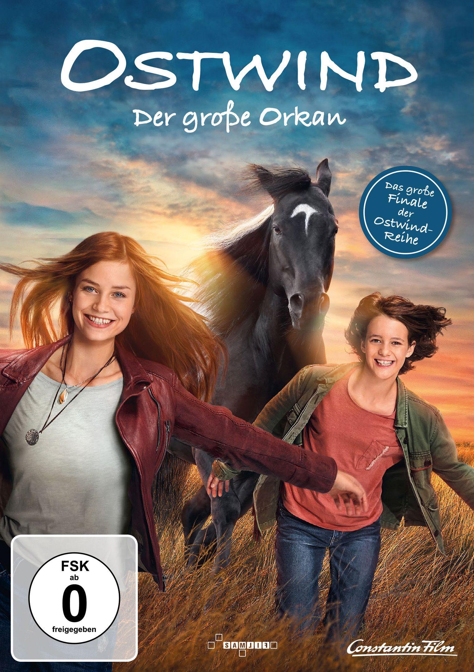 Vorderes Coverbild Ostwind - Der große Orkan