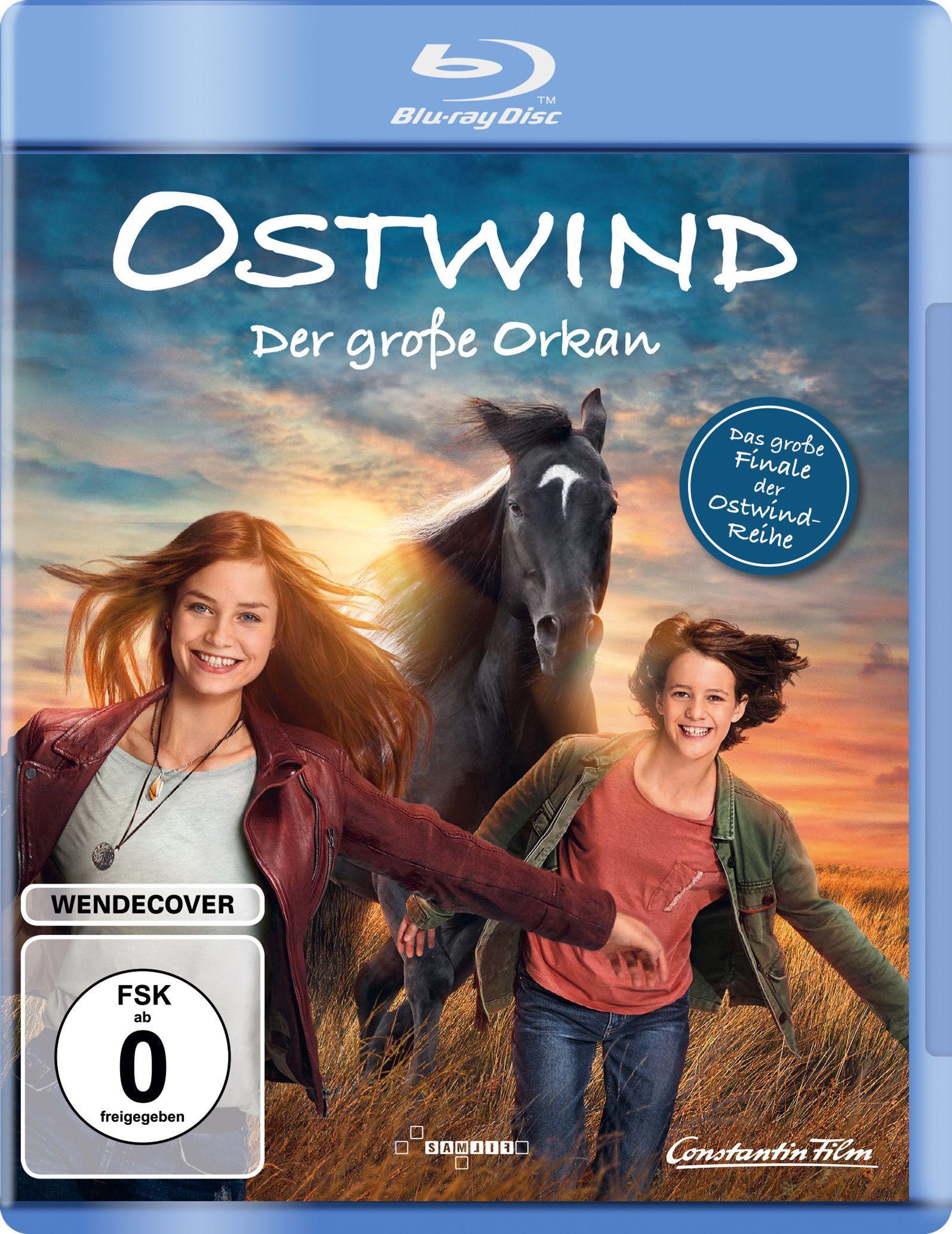 Vorderes Coverbild Ostwind - Der große Orkan