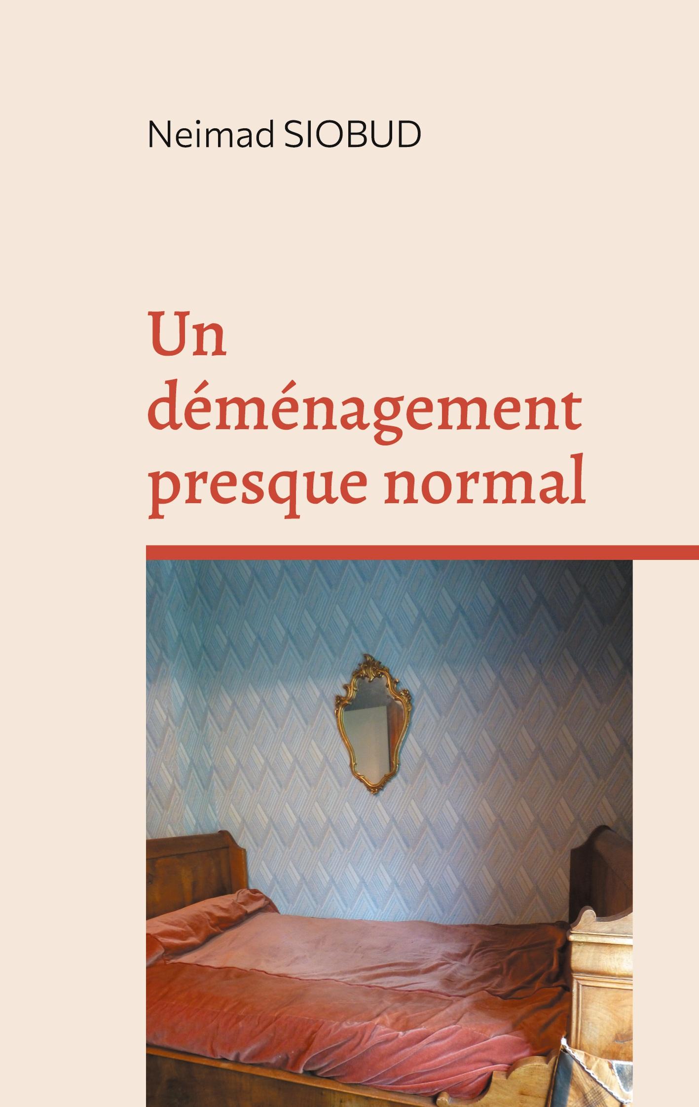 Vorderes Coverbild Un déménagement presque normal
