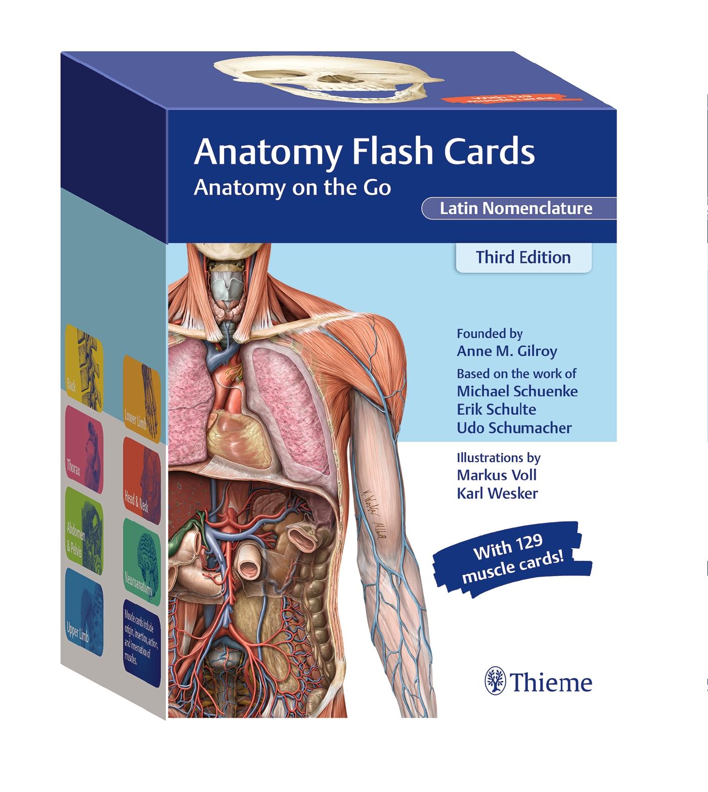 Vorderes Coverbild Anatomy Flash Cards, Latin Nomenclature