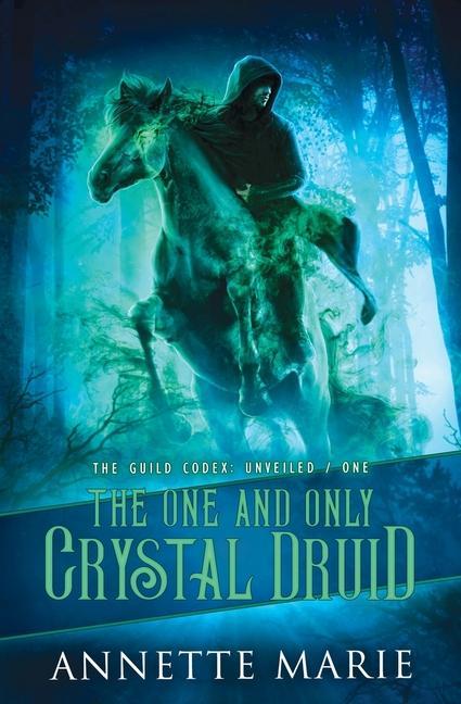 Vorderes Coverbild The One and Only Crystal Druid