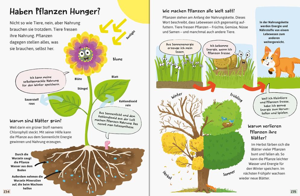 Beispielinhalt (Bild) Alles was ich wissen will - ein Lexikon für Kinder ab 5 Jahren (Ravensburger Lexika)