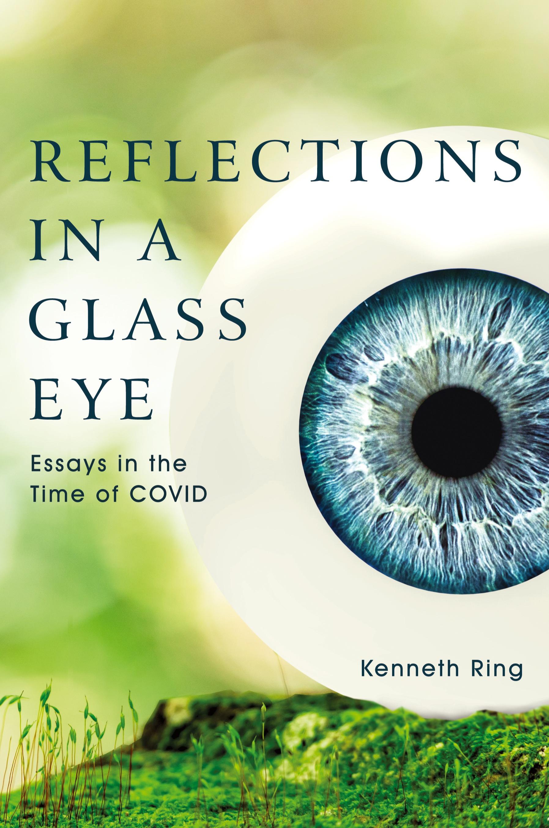 Vorderes Coverbild Reflections in a Glass Eye