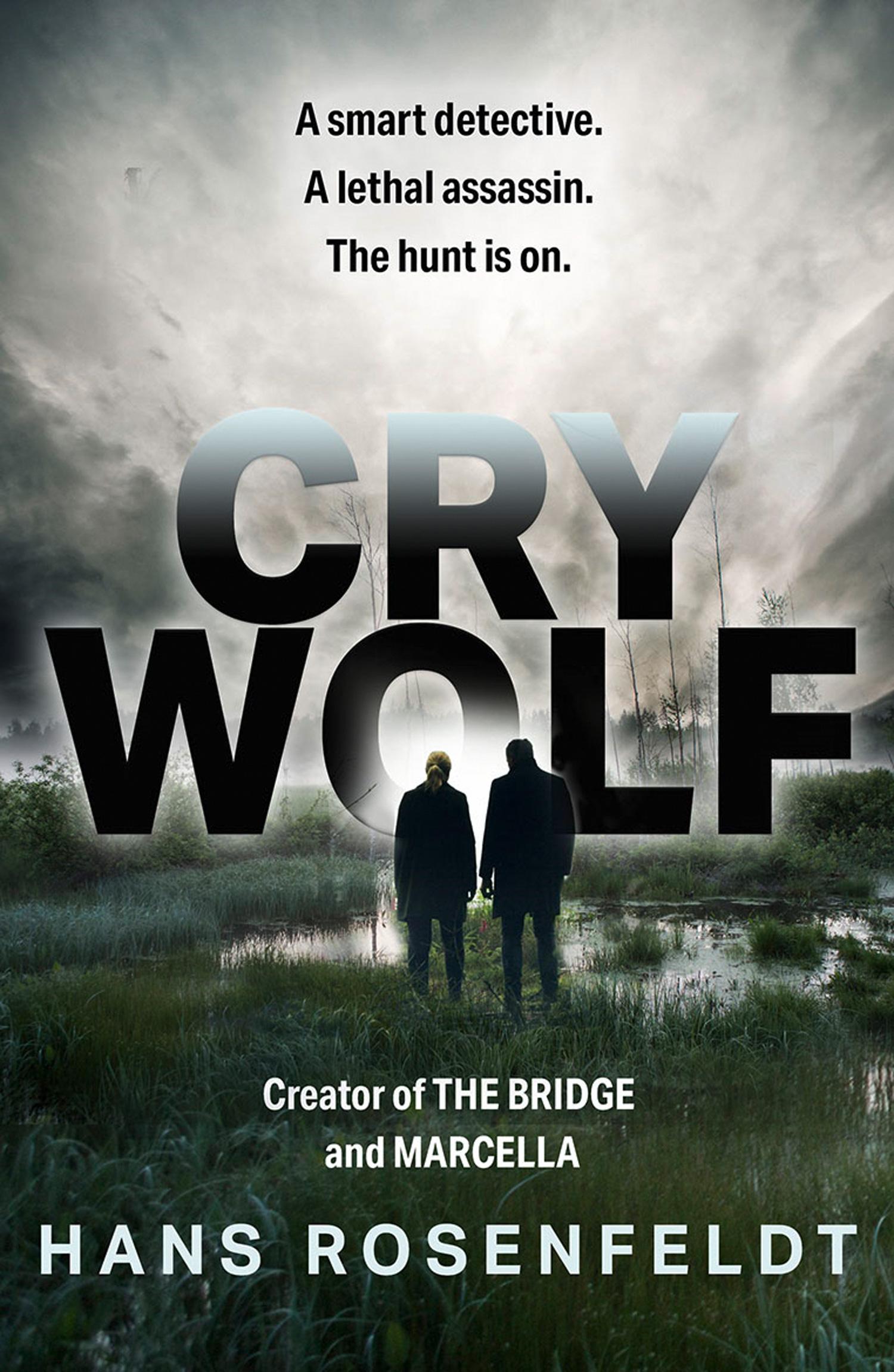 Vorderes Coverbild Cry Wolf
