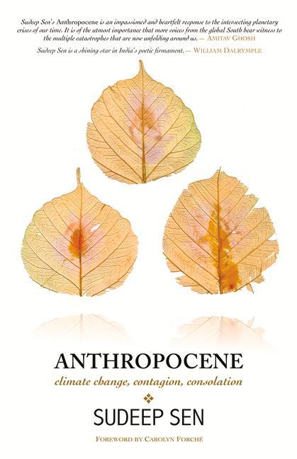 Vorderes Coverbild Anthropocene