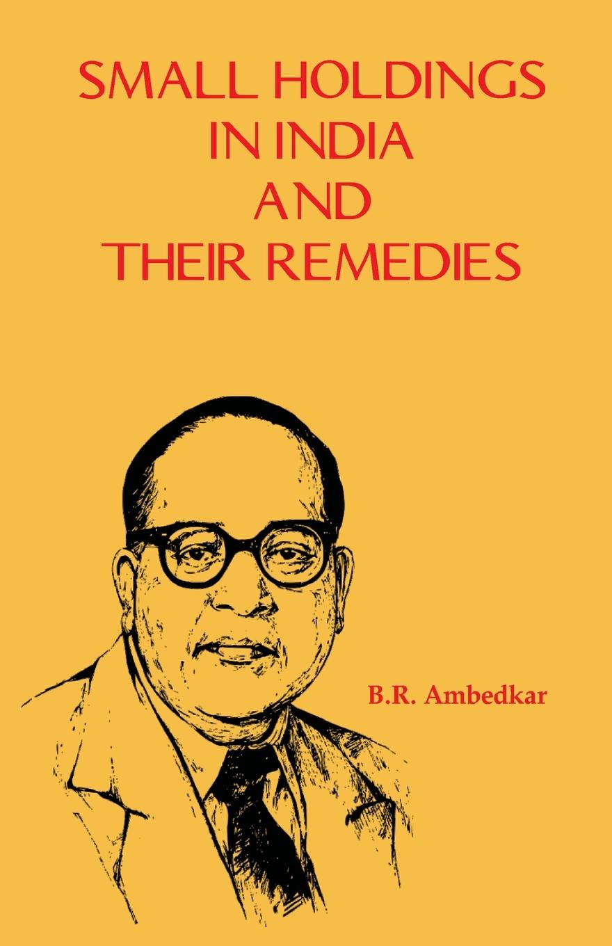 Vorderes Coverbild Small Holdings in India and their Remedies