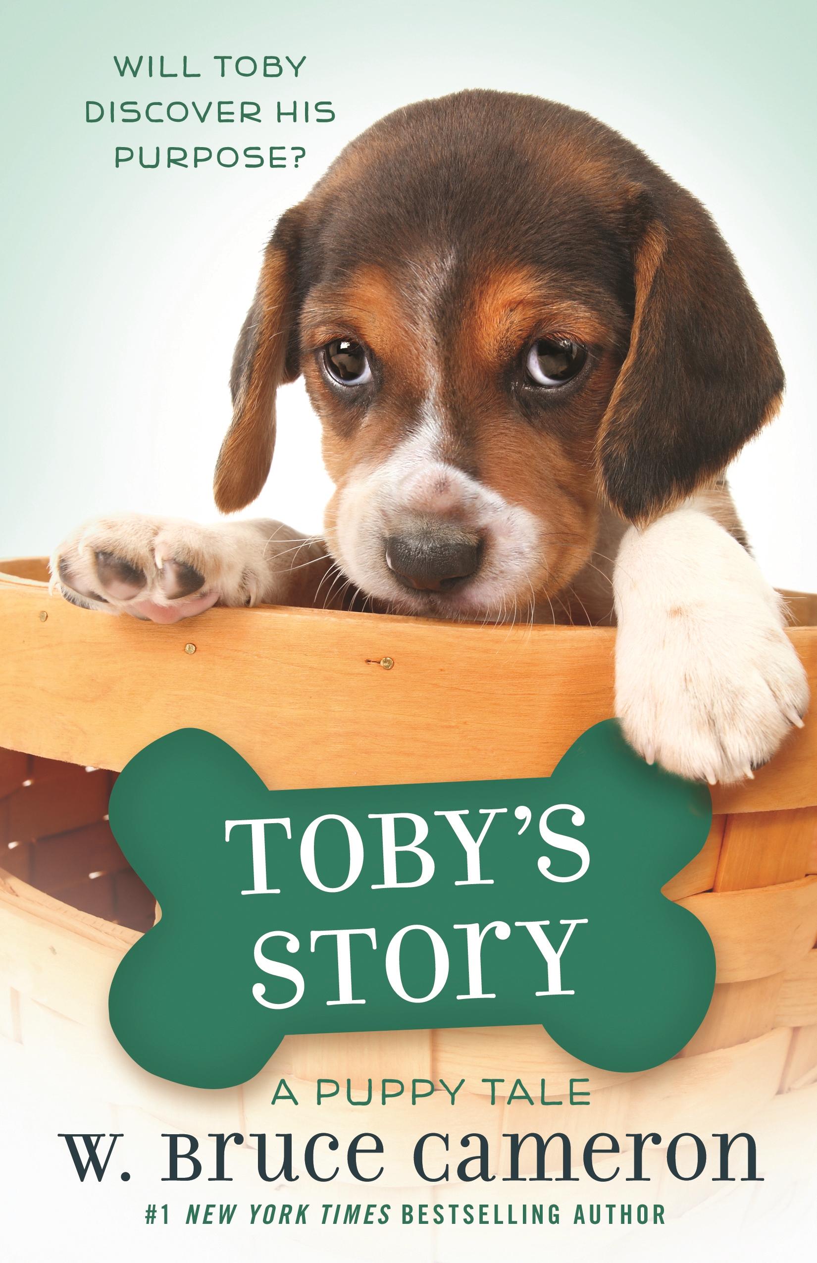 Vorderes Coverbild Toby's Story