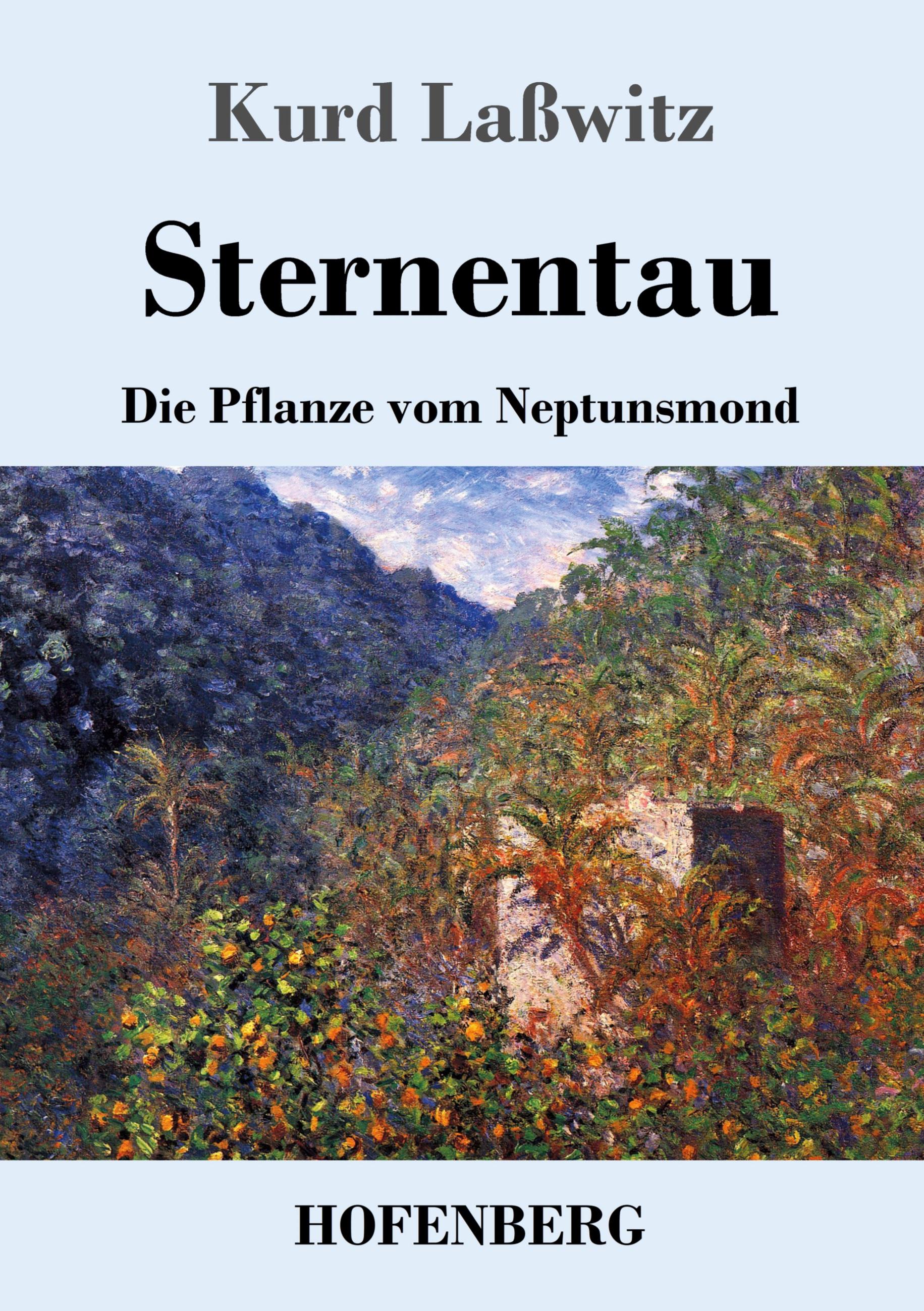 Vorderes Coverbild Sternentau