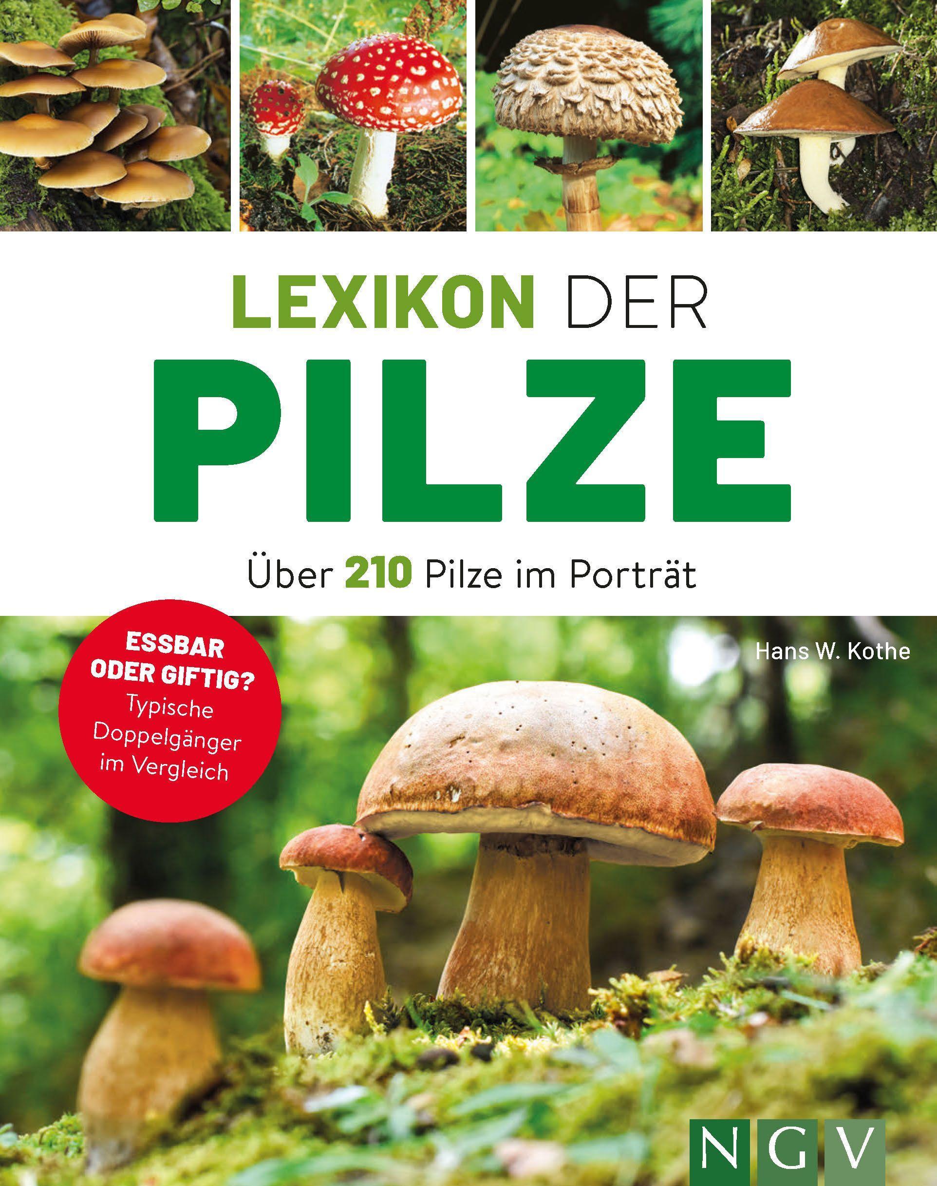 Vorderes Coverbild Lexikon der Pilze - Über 210 Pilze im Porträt