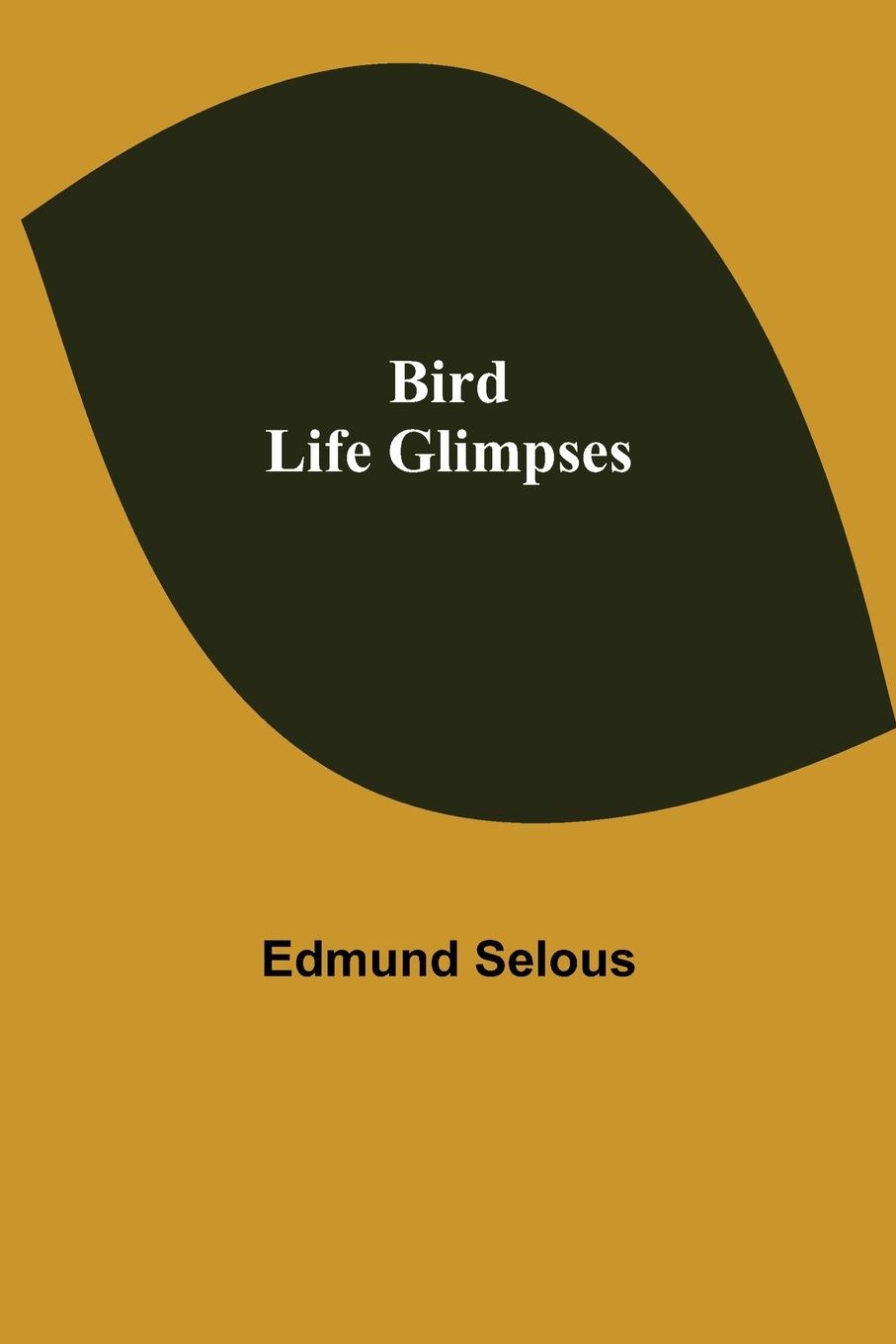 Vorderes Coverbild Bird Life Glimpses