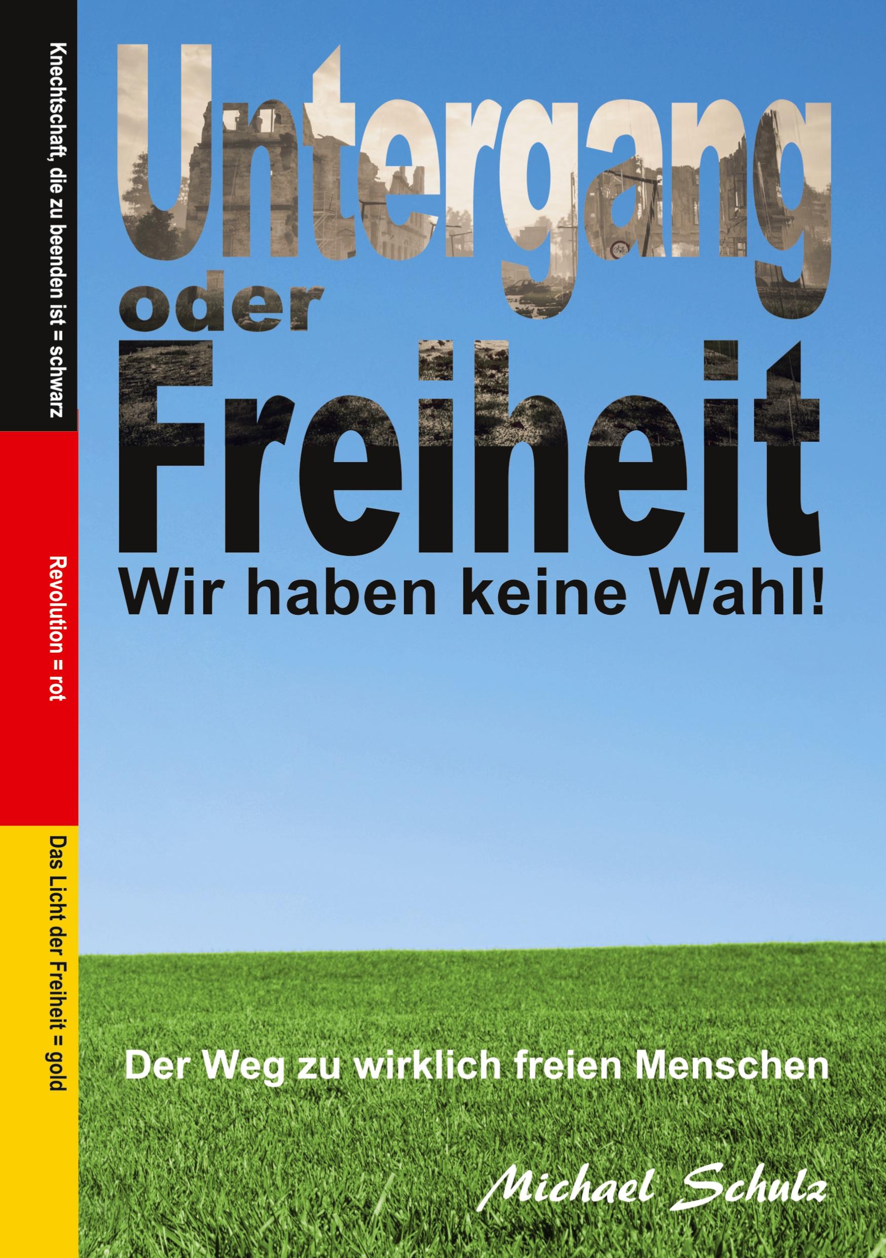 Vorderes Coverbild Untergang oder Freiheit - Wir haben keine Wahl!
