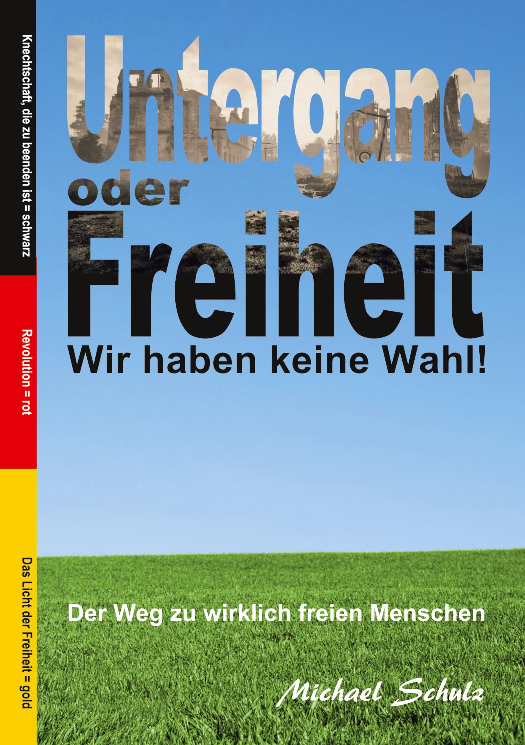 Vorderes Coverbild Untergang oder Freiheit - Wir haben keine Wahl!