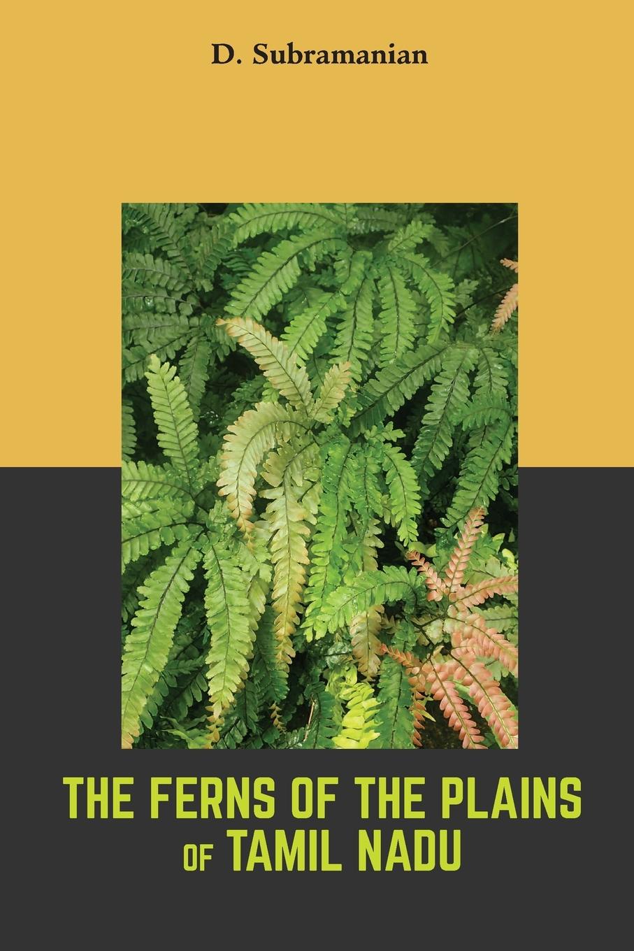 Vorderes Coverbild The Ferns of the plains of Tamilnadu