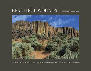 Vorderes Coverbild Beautiful Wounds