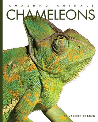 Vorderes Coverbild Chameleons