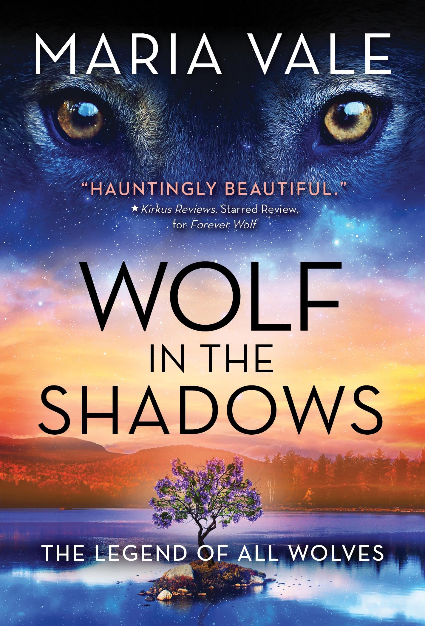 Vorderes Coverbild Wolf in the Shadows