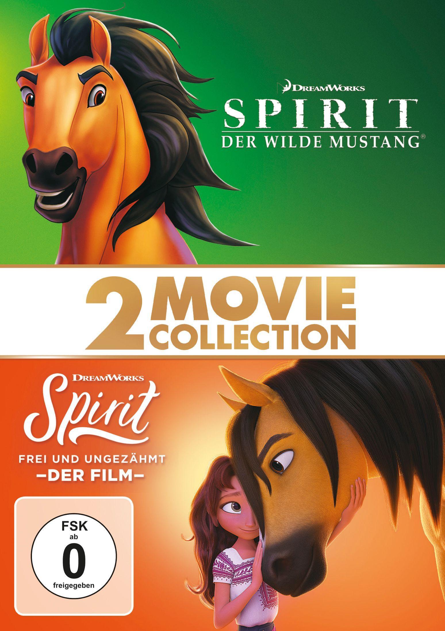 Vorderes Coverbild Spirit