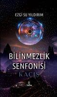 Vorderes Coverbild Bilinmezlik Senfonisi - Kacis