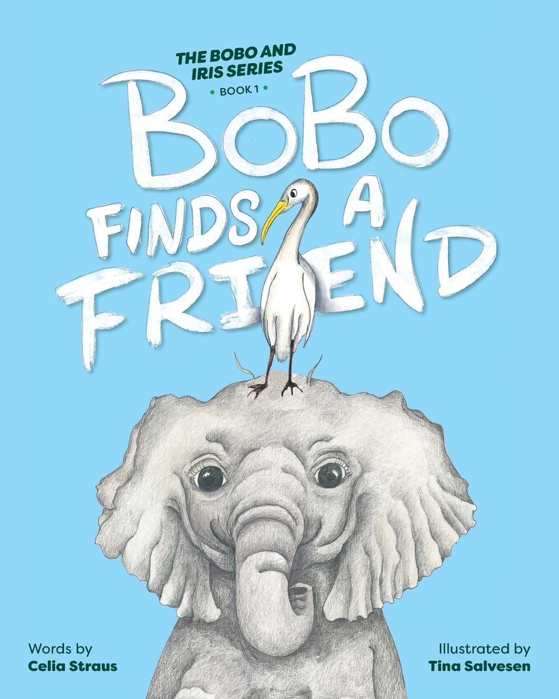 Vorderes Coverbild BoBo Finds A Friend