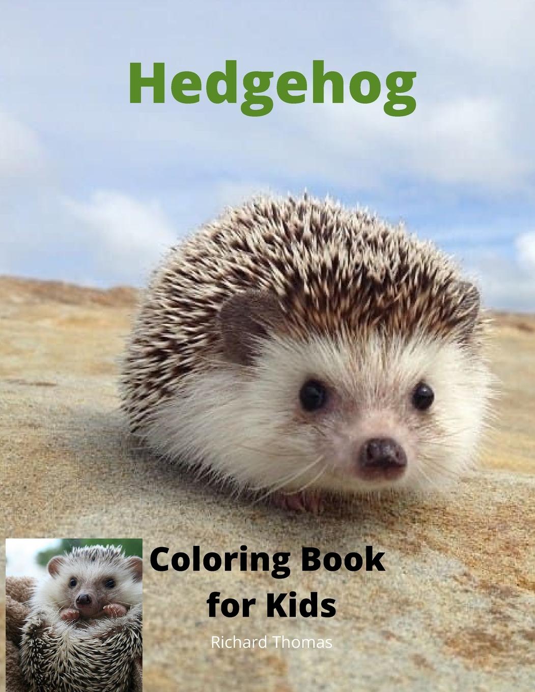 Vorderes Coverbild Hedgehog  Coloring Book for Kids