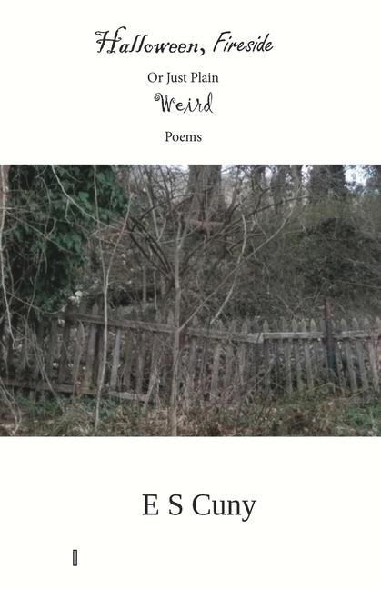 Vorderes Coverbild Halloween, Fireside, or Just Plain Weird Poems