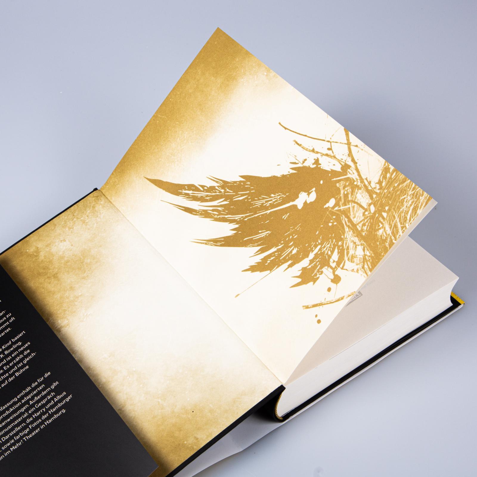 Beispielinhalt (Bild) Harry Potter und das verwunschene Kind. Teil eins und zwei (Deutsche Bühnenfassung) (Harry Potter)