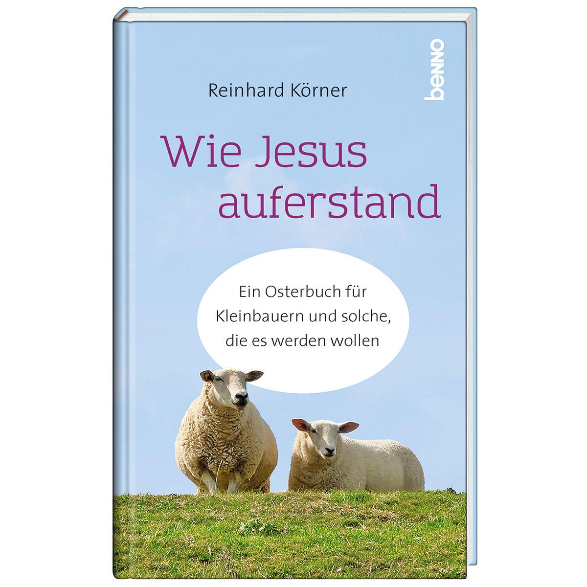 Vorderes Coverbild Wie Jesus auferstand