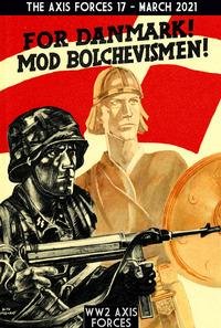 Vorderes Coverbild The Axis Forces 17