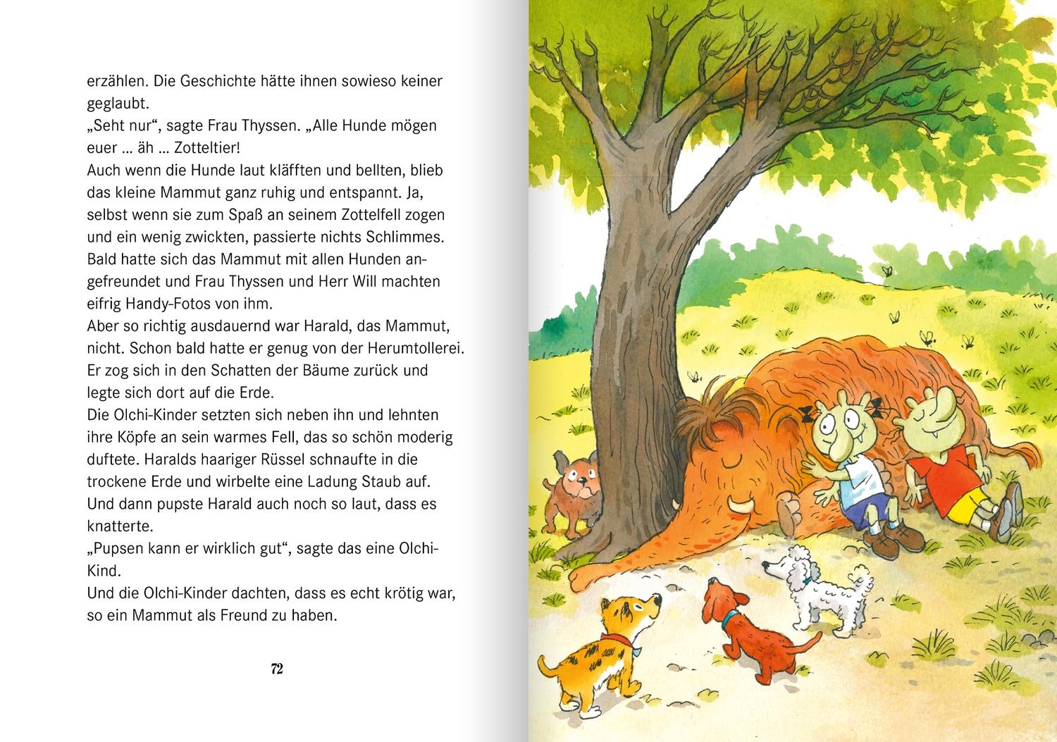 Beispielinhalt (Bild) Die Olchis im Land der Mammuts