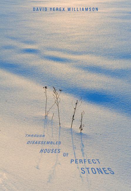 Vorderes Coverbild Through Disassembled Houses of Perfect Stones