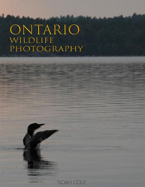 Vorderes Coverbild Ontario Wildlife Photography