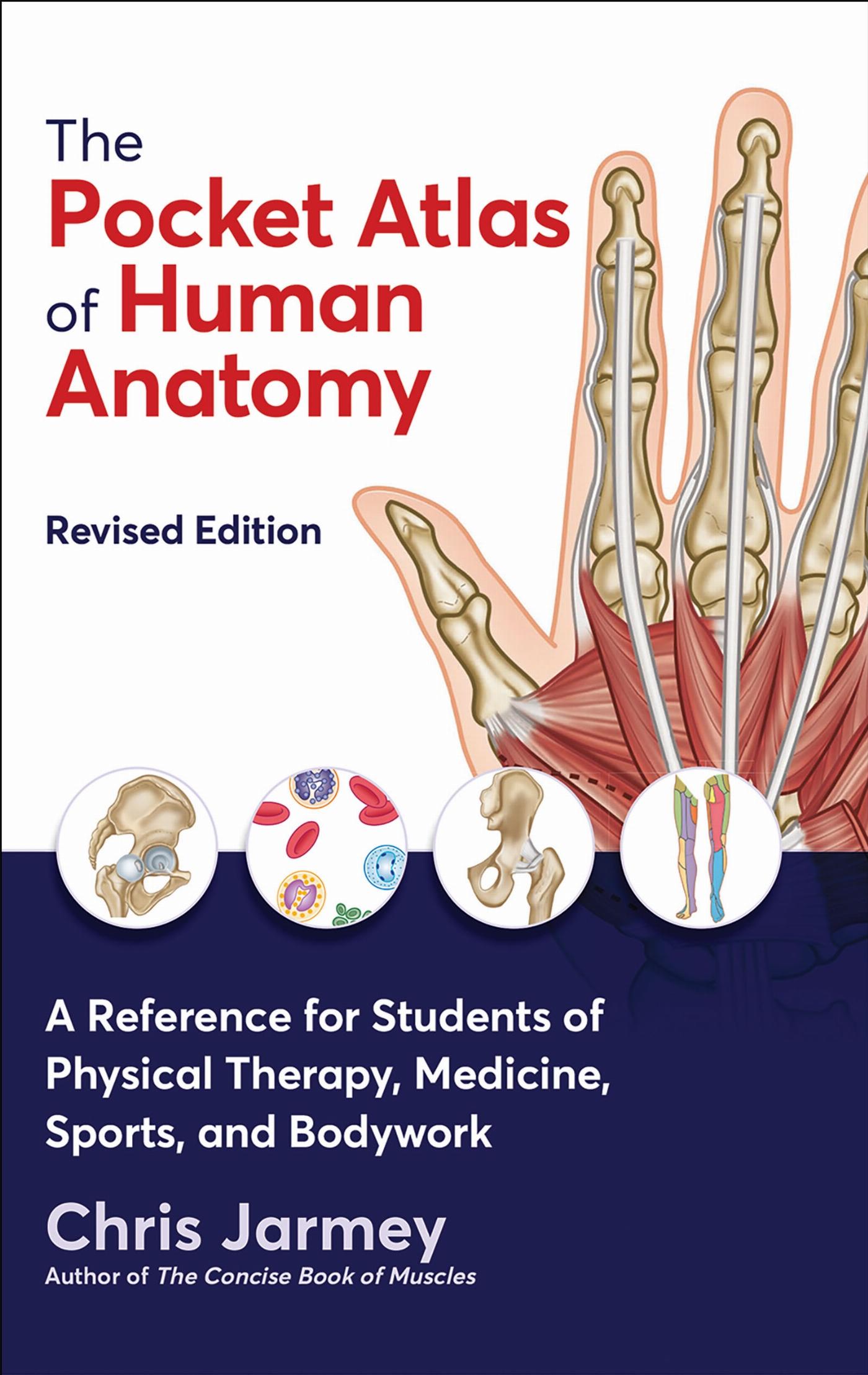 Vorderes Coverbild The Pocket Atlas of Human Anatomy